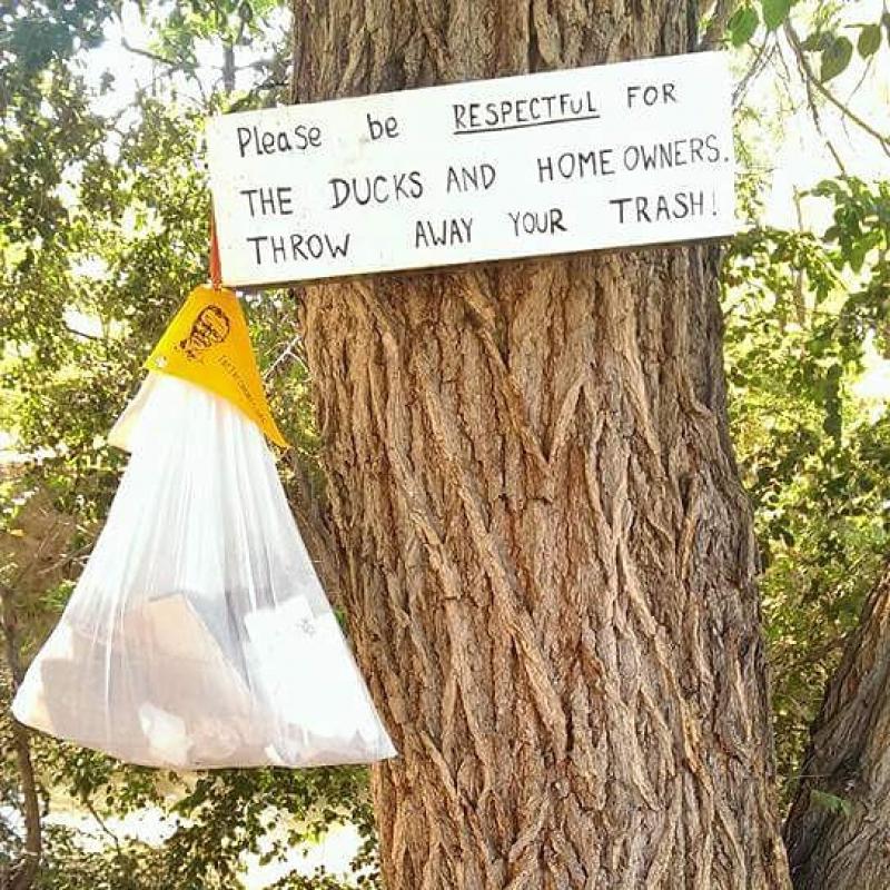 Ducks and Residents appreciate clean places