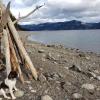 Martha Goss's picture
